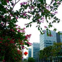 /photo/704417/行走人生/psb (2)_1_9_small.jpg